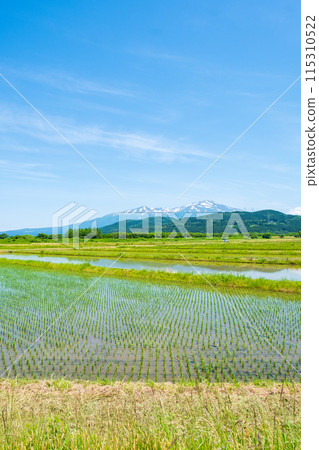 從坂田市眺望鳥海山 從坂田市眺望鳥海山 115310522