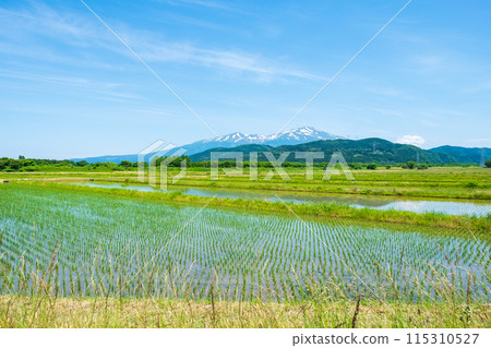 從坂田市眺望鳥海山 115310527