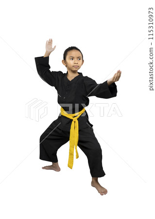 Asian little girl with a yellow sash training martial arts Asian little girl with a yellow sash training martial arts 115310973