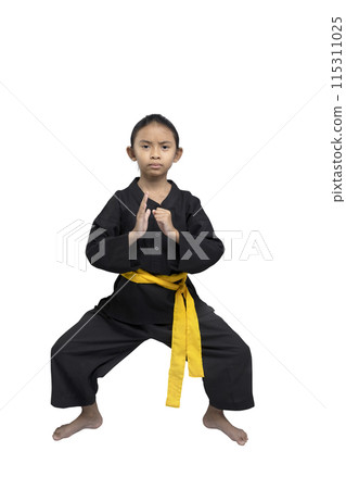 Young martial artist in karate stance with yellow belt 115311025
