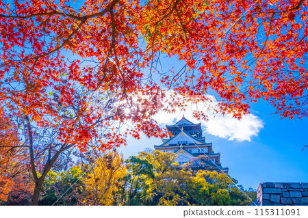 大阪城堡秋葉 115311091