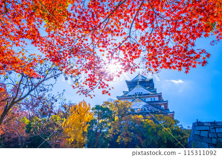大阪城堡秋葉 115311092