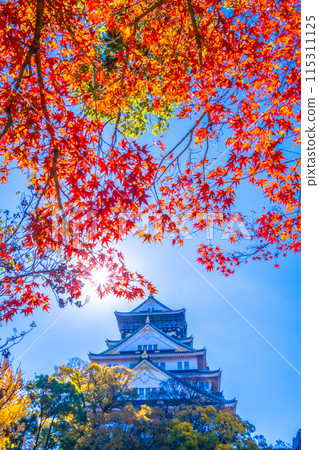 大阪城堡秋葉 115311125