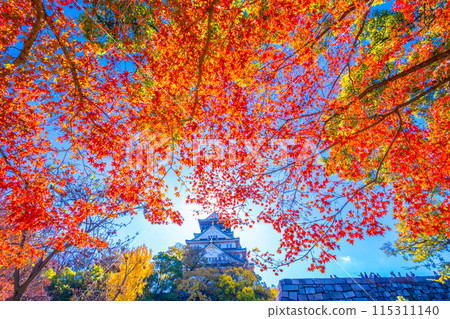 Autumn leaves of Osaka Castle 115311140