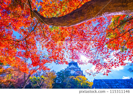 大阪城堡秋葉 115311146