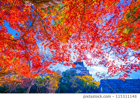 Autumn leaves of Osaka Castle 115311148