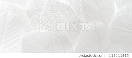純白色精緻葉脈背景 115311215