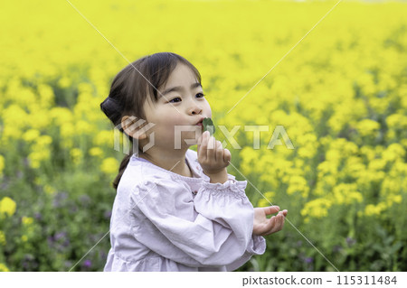 在強姦領域玩的女孩 115311484