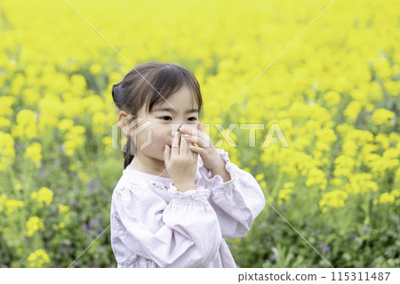 Girls playing in rape fields 115311487