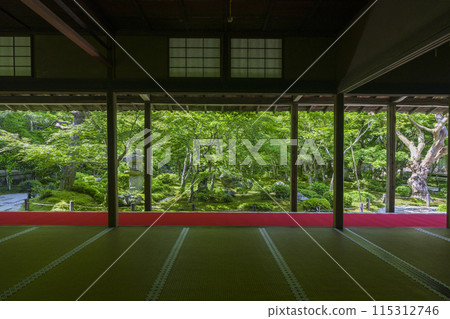 京都、圓光寺、翠綠美麗的十生庭園 115312746