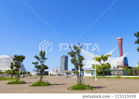 從兵庫縣神戶市神戶美利堅公園眺望神戶港塔、神戶海洋博物館和東方飯店 從兵庫縣神戶市神戶美利堅公園眺望神戶港塔、神戶海洋博物館和東方飯店 115313039
