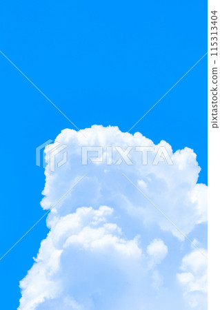Summer blue sky 115313404