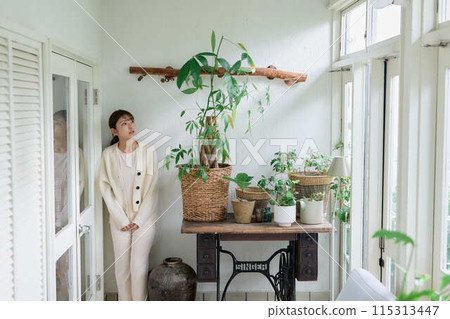 A woman watering a foliage plant A woman watering a foliage plant 115313447