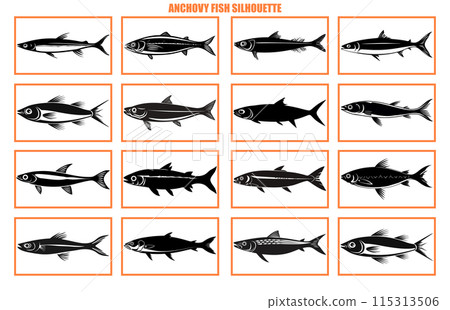 set of Anchovy fish silhouette isolated on white, animal anchovy natural logo vector icon silhouette set of Anchovy fish silhouette isolated on white, animal anchovy natural logo vector icon silhouette 115313506