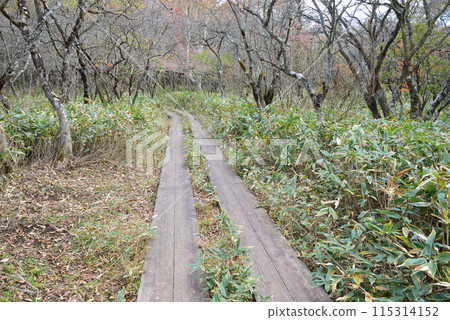 沼原濕地 2023-10-23 #62 115314152