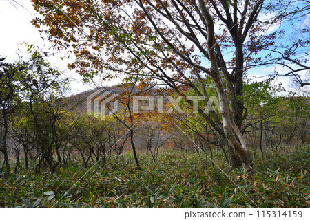 Numapara Marshland 2023-10-23 #69 Numapara Marshland 2023-10-23 #69 115314159