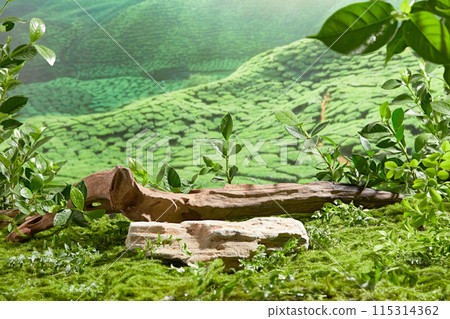 A brown log placed in back of a blank white stone podium on the green lawn, green nature scene covered by yellow sunshine. Advertising photo with blank space for showing product, was taken from front A brown log placed in back of a blank white stone podium on the green lawn, green nature scene covered by yellow sunshine. Advertising photo with blank space for showing product, was taken from front 115314362