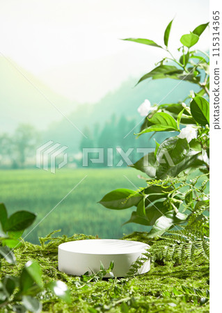Photo for designing in vertical frame, from front angle shot over the green field background, a circular pedestal featured on green lawn for showing product of natural ingredient, blank space for text Photo for designing in vertical frame, from front angle shot over the green field background, a circular pedestal featured on green lawn for showing product of natural ingredient, blank space for text 115314365