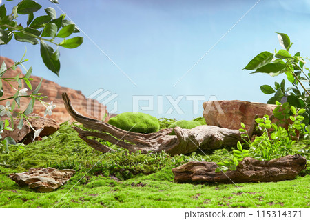 Template for promotional design from frontal shot on light blue background with some dry tree branch displayed in the middle of natural scene, vacant space in front for presentation Template for promotional design from frontal shot on light blue background with some dry tree branch displayed in the middle of natural scene, vacant space in front for presentation 115314371