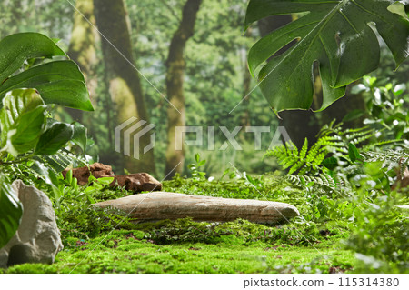 The photo was taken in natural jungles scene from frontal shot, the blank rock podium surrounded by variety of plants such as ferns and monstera, vacant space for adding product and design elements 115314380