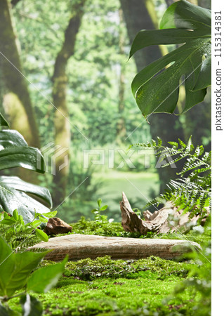 A flat stone lying on the grass in forest, behind is a jungle scene with many ancient trees, on both sides are fern branches and monstera leaves. Photo of front angle has empty space for design 115314381
