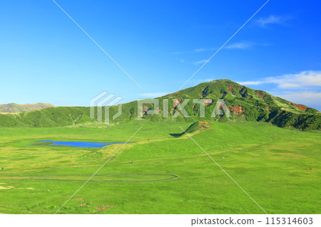 [熊本縣]新鮮的綠草千里濱（阿蘇山） 115314603