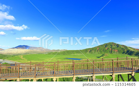 [熊本縣]新鮮的綠草千里濱（阿蘇山） 115314605