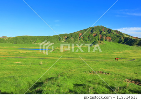 [Kumamoto Prefecture] Fresh greenery at Kusasenrihama Beach (Mount Aso) 115314615