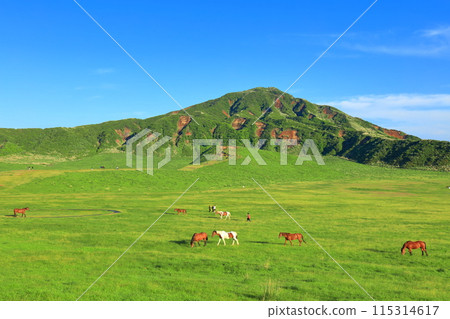 [熊本縣]新鮮的綠草千里濱（阿蘇山） 115314617