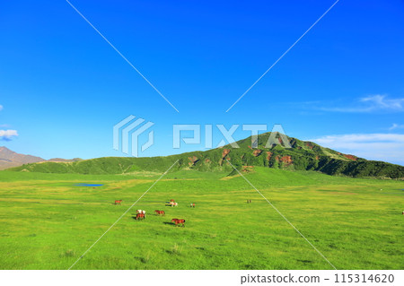[Kumamoto Prefecture] Fresh greenery at Kusasenrihama Beach (Mount Aso) 115314620