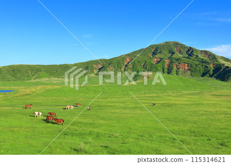 [Kumamoto Prefecture] Fresh greenery at Kusasenrihama Beach (Mount Aso) 115314621