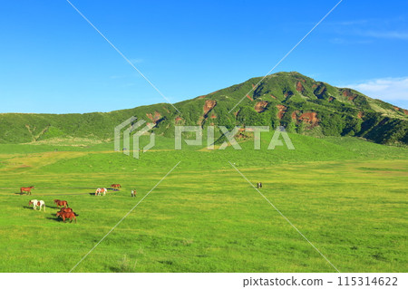 [Kumamoto Prefecture] Fresh greenery at Kusasenrihama Beach (Mount Aso) 115314622