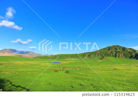[Kumamoto Prefecture] Fresh green Kusasenrihama Beach and Nakadake (the crater of Mount Aso) 115314623
