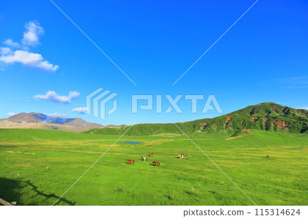 [Kumamoto Prefecture] Fresh green Kusasenrihama Beach and Nakadake (the crater of Mount Aso) 115314624