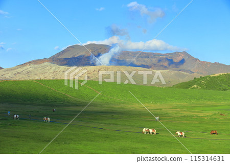 [Kumamoto Prefecture] The summit of Mount Aso (Nakadake) on a clear day 115314631