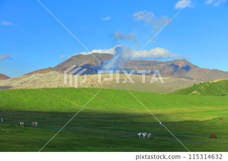 [Kumamoto Prefecture] The summit of Mount Aso (Nakadake) on a clear day 115314632