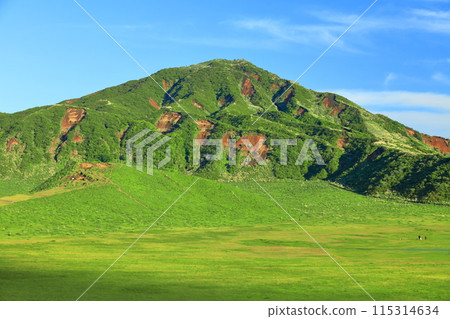 [Kumamoto Prefecture] Fresh greenery on Mount Eboshi (Mount Aso) 115314634