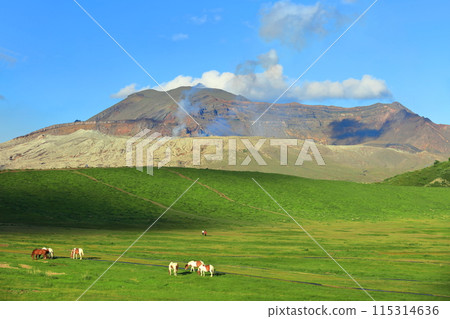 [Kumamoto Prefecture] The summit of Mount Aso (Nakadake) on a clear day 115314636
