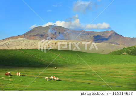 [Kumamoto Prefecture] The summit of Mount Aso (Nakadake) on a clear day 115314637