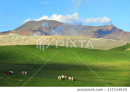 [Kumamoto Prefecture] The summit of Mount Aso (Nakadake) on a clear day 115314638