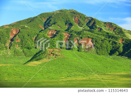 [Kumamoto Prefecture] Fresh greenery on Mount Eboshi (Mount Aso) 115314643