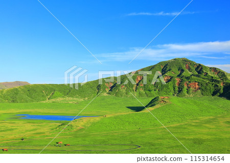 [Kumamoto Prefecture] Fresh greenery at Kusasenrihama Beach (Mount Aso) 115314654