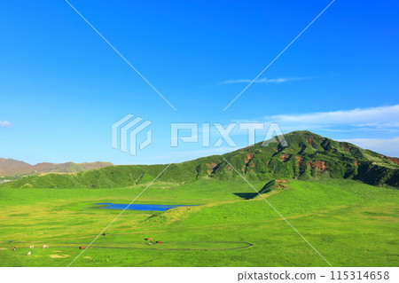 [熊本縣]新鮮的綠草千里濱（阿蘇山） 115314658