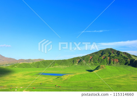 [熊本縣]新鮮的綠草千里濱（阿蘇山） 115314660