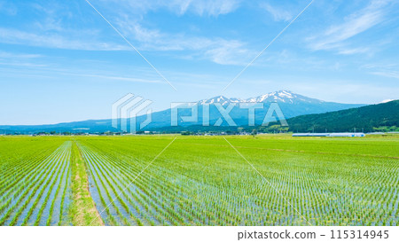 從坂田市眺望鳥海山 115314945