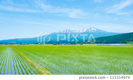Mount Chokai as seen from Sakata City 115314974