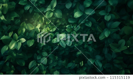 Lush green leaves full of vitality 115315119