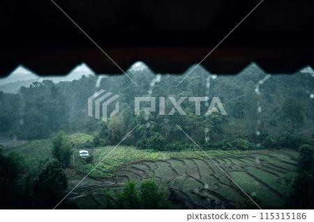 Rain falls, water flows down the roof of a house on a rainy day in the countryside. Rain falls, water flows down the roof of a house on a rainy day in the countryside. 115315186