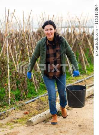 Female farmer carries a bucket of peas on farm field Female farmer carries a bucket of peas on farm field 115315864
