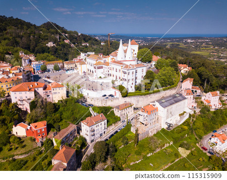 Landscape with Sintra National Palace 115315909